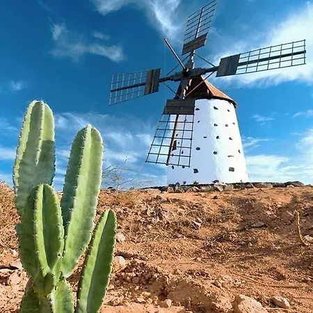 Amsterdam Lovely Apartament